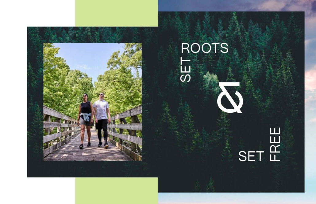 Mile and Creek Condos