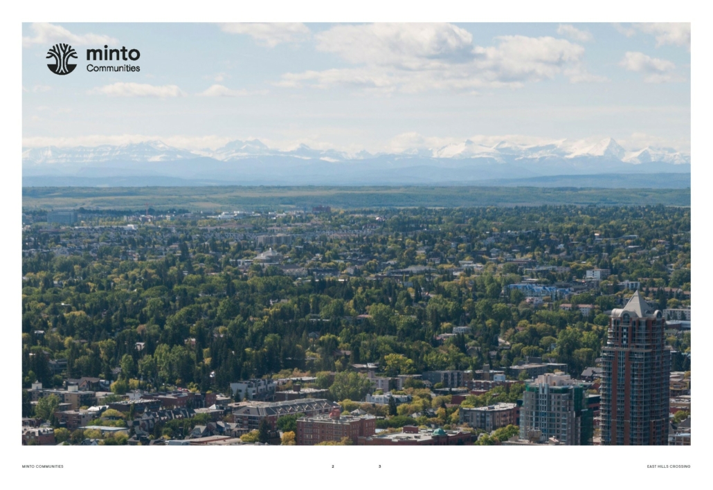 EAST HILLS CROSSING - aerial-view