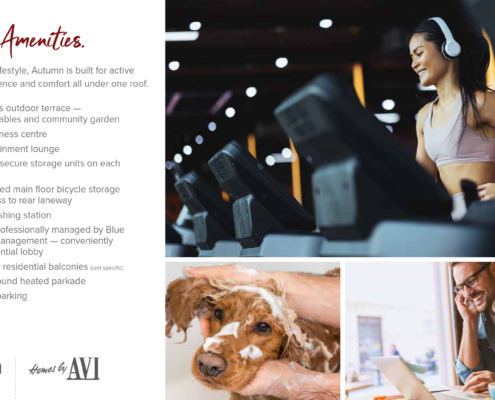 Autumn at University District Condos