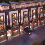 The Sutton Collection