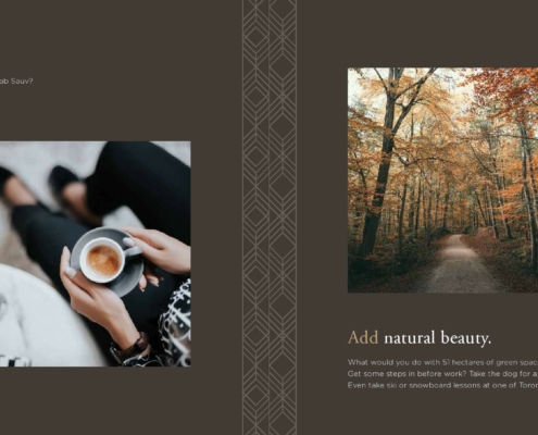 Addington Park Condos