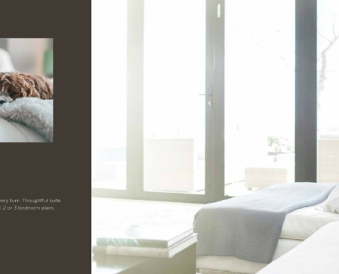 Addington Park Condos