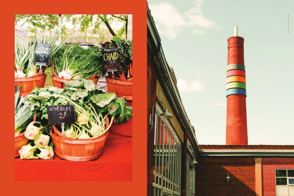 01-Brochure_000009-1030x687