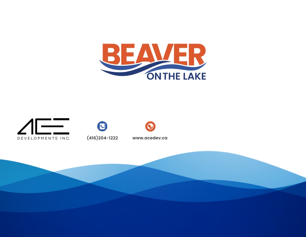 Beaver on the lake