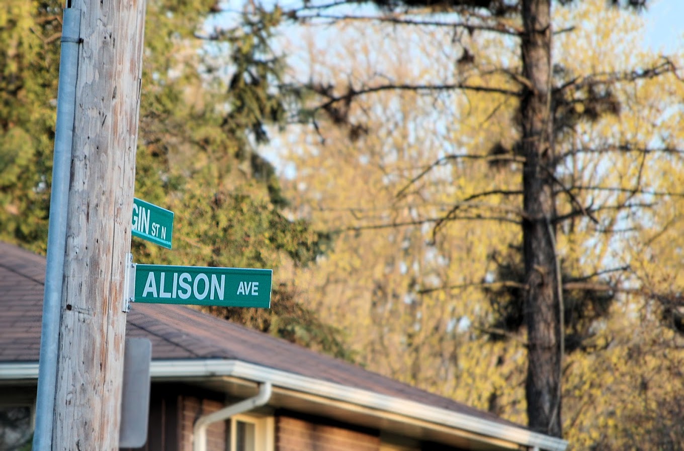 Alison Neighbourhood