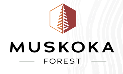 https://condoy.com/wp-content/uploads/2023/12/Muskoka-Forest-Homes-1-1.png