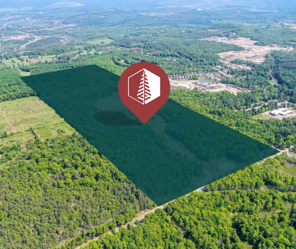 Muskoka Forest Homes 32