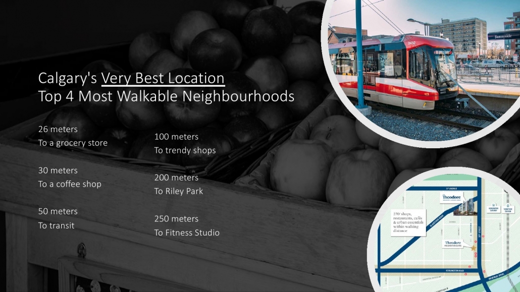 The Theodore Condos 9