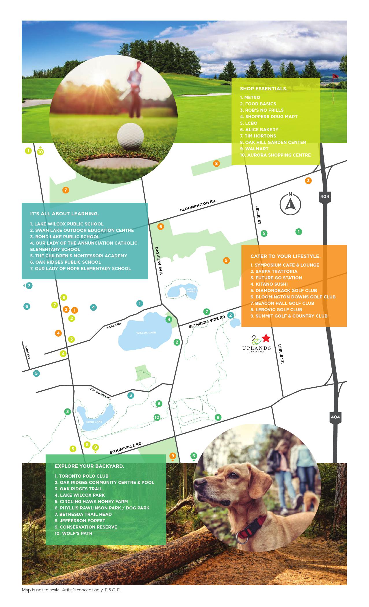 Uplands of Swan Lake 04