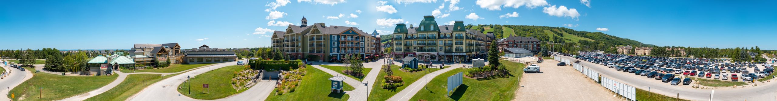 Freed Blue Mountain – View