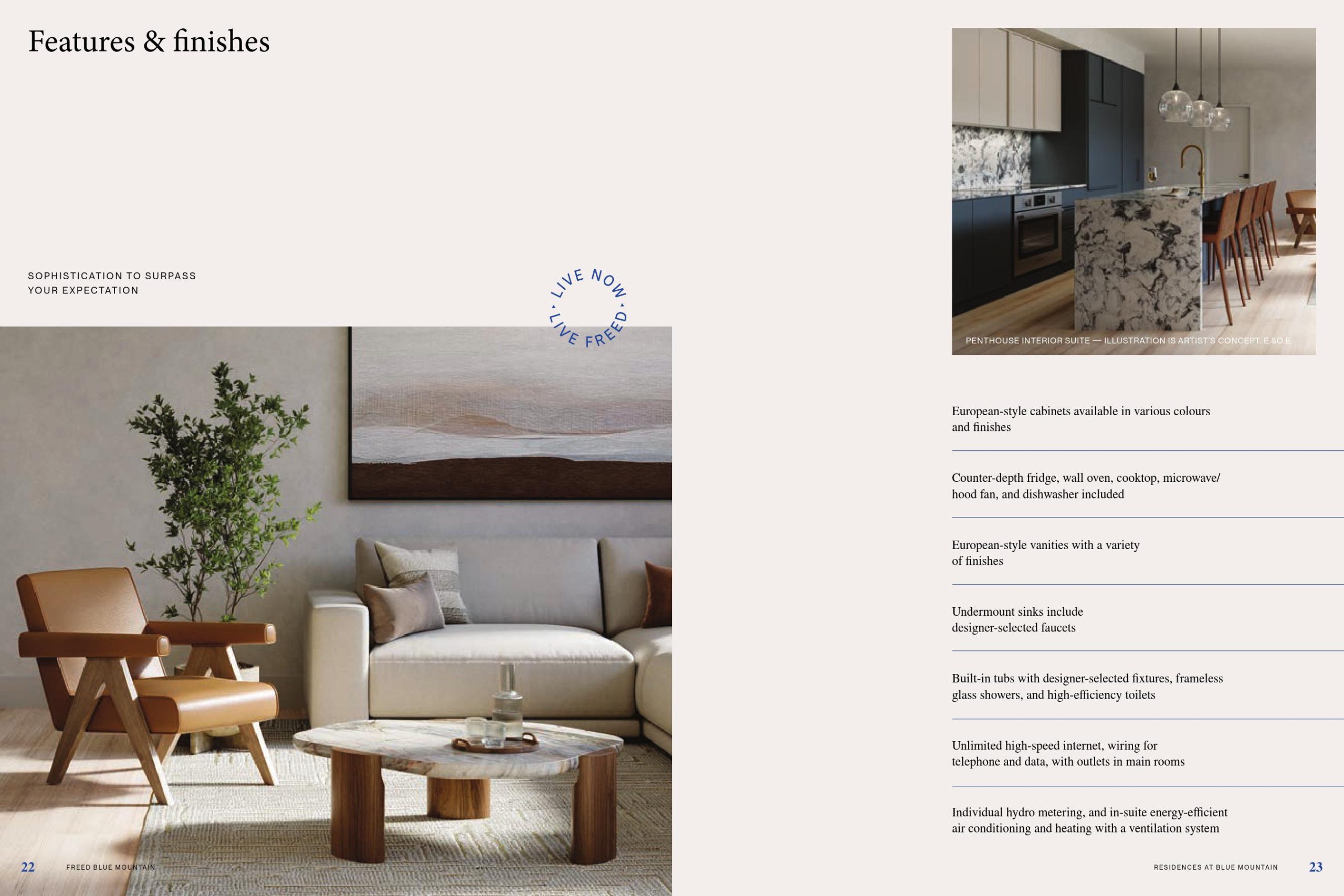 Freed Blue Mountain Brochure 10