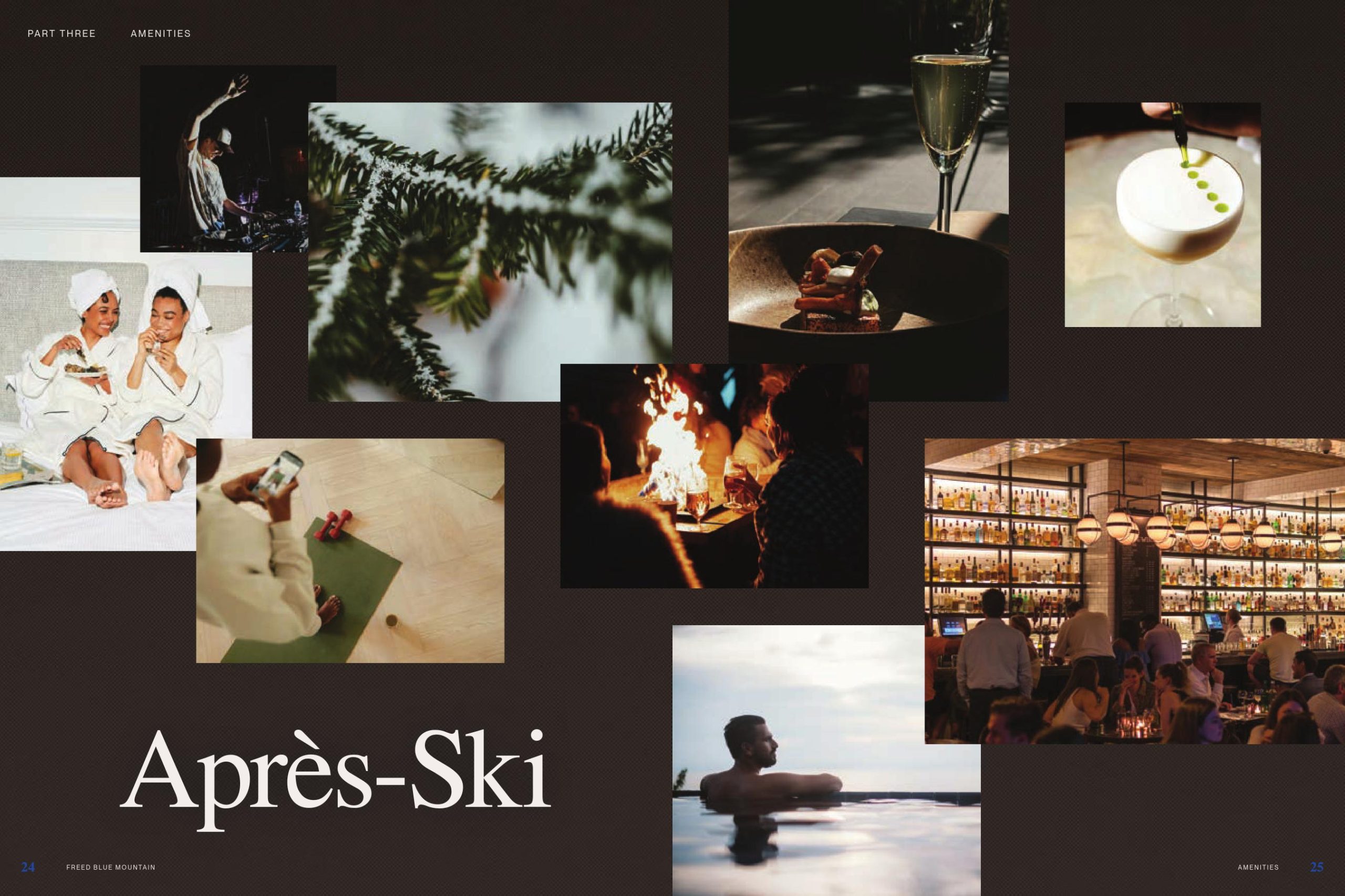 Freed Blue Mountain Brochure 11