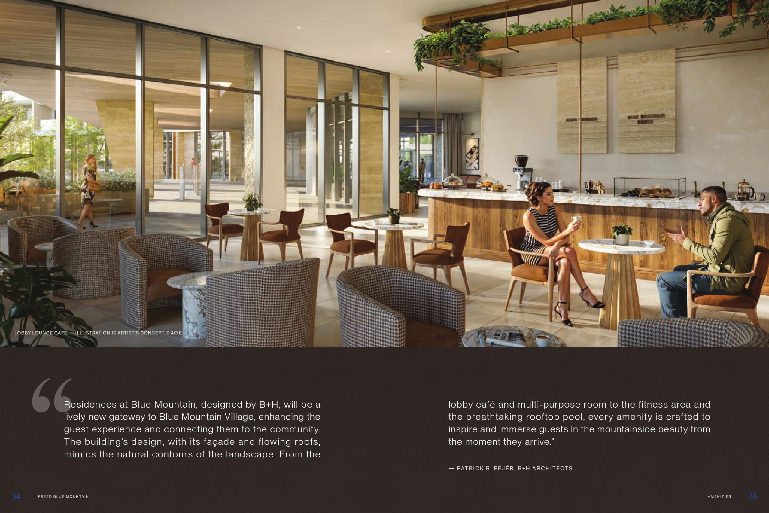 Freed Blue Mountain Brochure 14