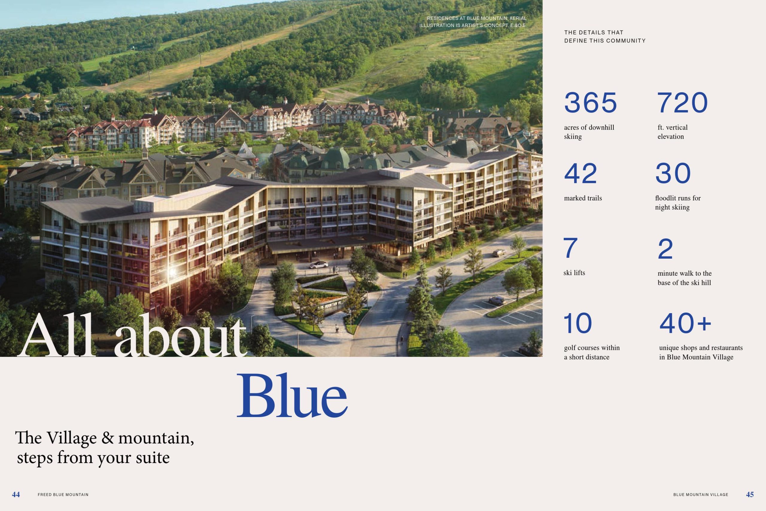 Freed Blue Mountain Brochure 17