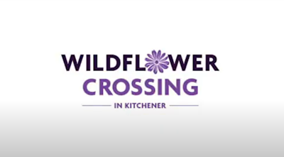 https://condoy.com/wp-content/uploads/2024/05/Wildflower-Crossing-Homes-Logo.png