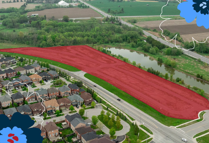 Townhomes-of-Little-Rouge-Aerial-View-of-Project-Site-Plan-1-v1