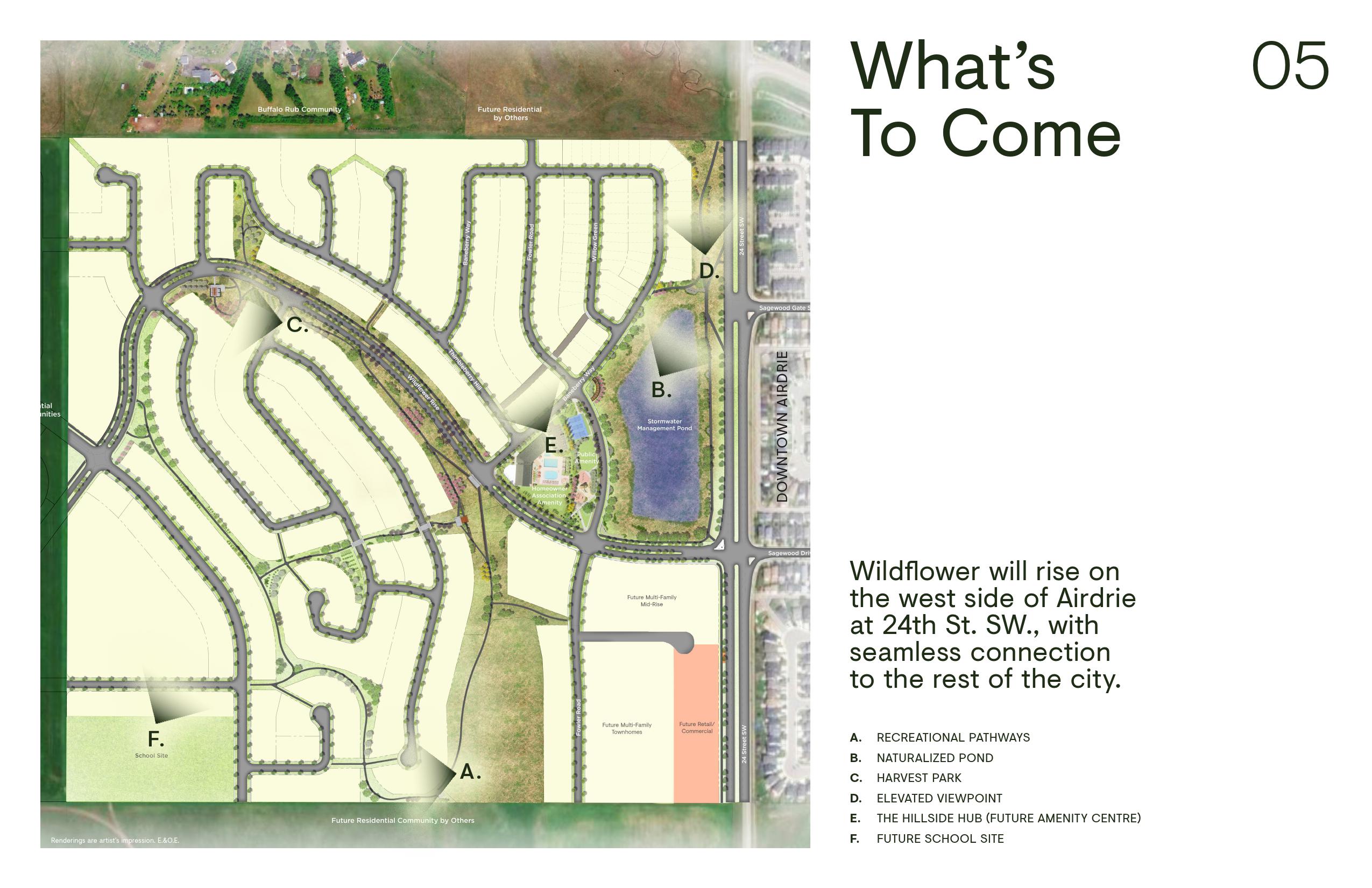 Wildflower Community Brochure 12