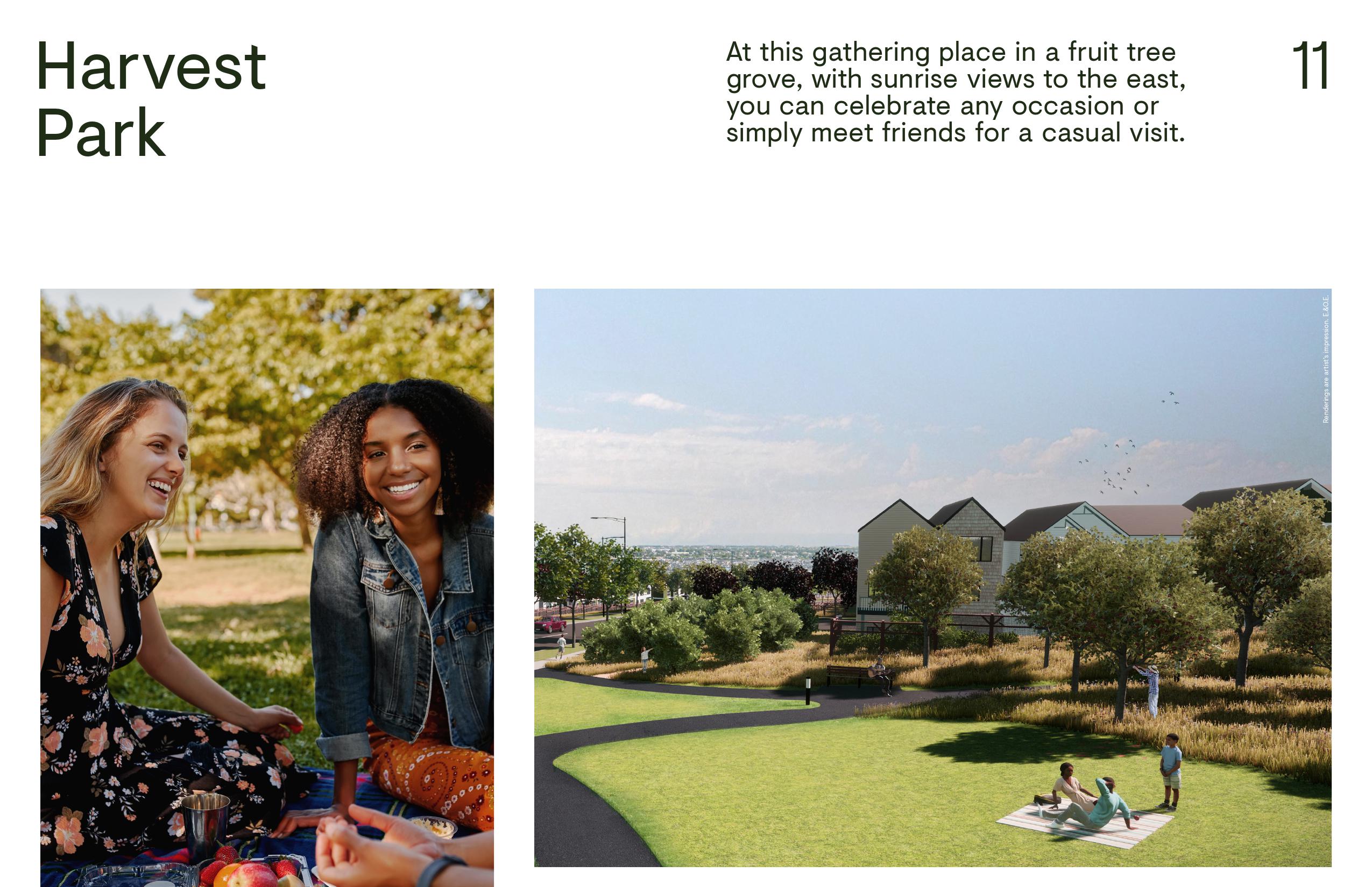 Wildflower Community Brochure 3