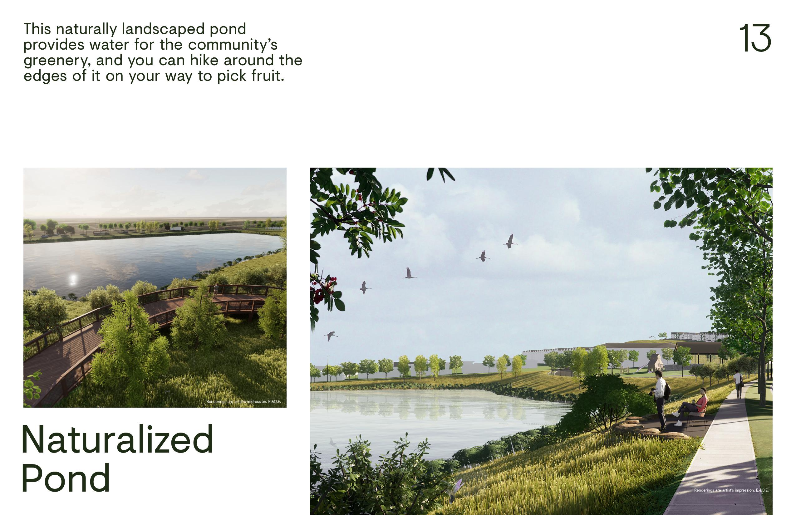 Wildflower Community Brochure 4