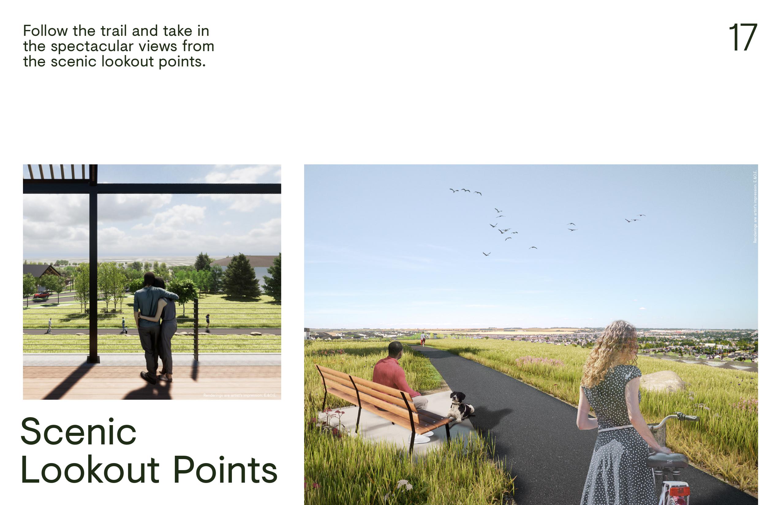 Wildflower Community Brochure 6