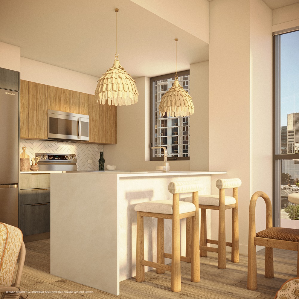 Flow House Standard Kitchen Residenc Rendering