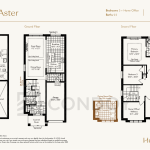The Aster 16 The Aster Honeystone-Towns-The-Aster-floorplan