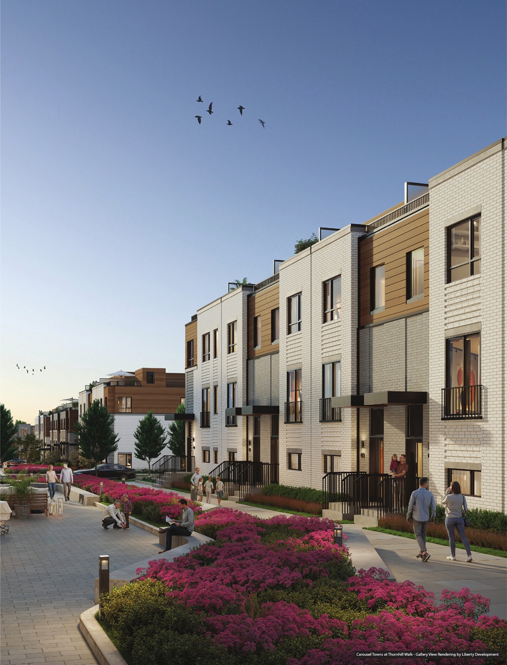 Towns at Thornhill Walk 