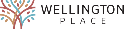 https://condoy.com/wp-content/uploads/2026/06/wellington-palace-logo.png